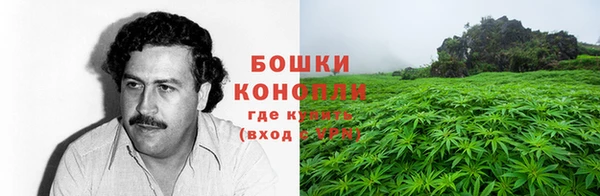 jwh Белокуриха