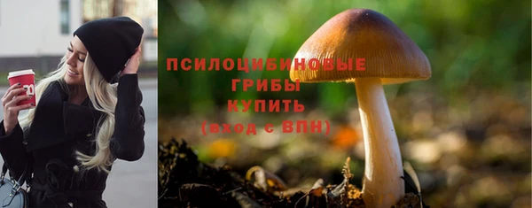 jwh Белокуриха